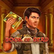 Slots logo of Book of Dead from Play&#039;n GO at Weiss